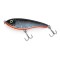 Asseri JERKBAIT 10cm/28g colour: 26