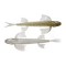 Bite On Fury 120mm 8g 4tk #30 Minnow Fish