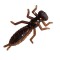 Perchik Beetle 1.5 38mm 12pcs. colour 13