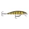 Rapala X-Rap CountDown Live Perch 5cm/4g XRCD05 PEL