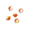 Mikado Float Beads Kork Pärlid Dia. 8mm Fluo Color 5pcs