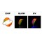 Mormishka «RIGAs BANANA» Nr. 20 UV (UV, phosphor) with an eyelet (4 mm, 1 g, colour: 358P)