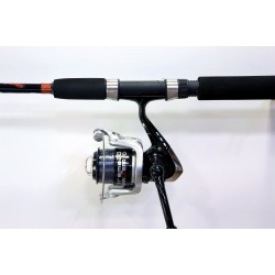 Lineaeffe Extreme combo 2.10m 5-30g
