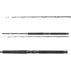 Daiwa Tanacom Ultra Deep 702XXH 2.10m c.w: 400-1000g