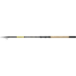 Mikado Sensual NG Tele Match 4.20m 5-25g