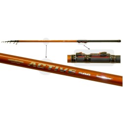 SURF MASTER «ACTIVE Bolognese TX-20» (telesc., 5,00 m, carbone, 245 g, test: 10-30 g)