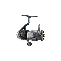 Daiwa Airity LT2500S