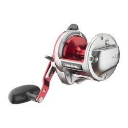 Daiwa Sealine Ishidai 40H Line Counter RH