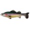 Behr Trendex Zander Unrigged 12cm 4.tk 6047133