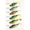 Behr Trendex Soft-Bait 6cm/10g 3tk 7555204