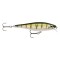 Rapala BX Minnow Yellow Perch 10cm/12g BXM10 YP