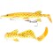 Savage Gear 3D Hybrid Pike 25cm/130g SS03 Albino Pike 50231