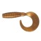 Traper Killer Shad Twister 40mm 50tk color: 22 61212