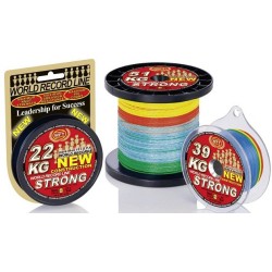 WFT NEW 0.25mm 39KG Strong multicolor 300m