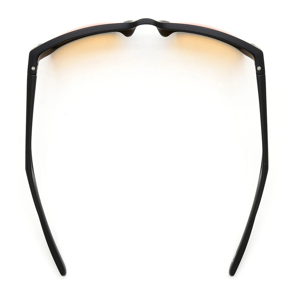 Vision Hybrid Polarflite Polaroidprillid Pruun