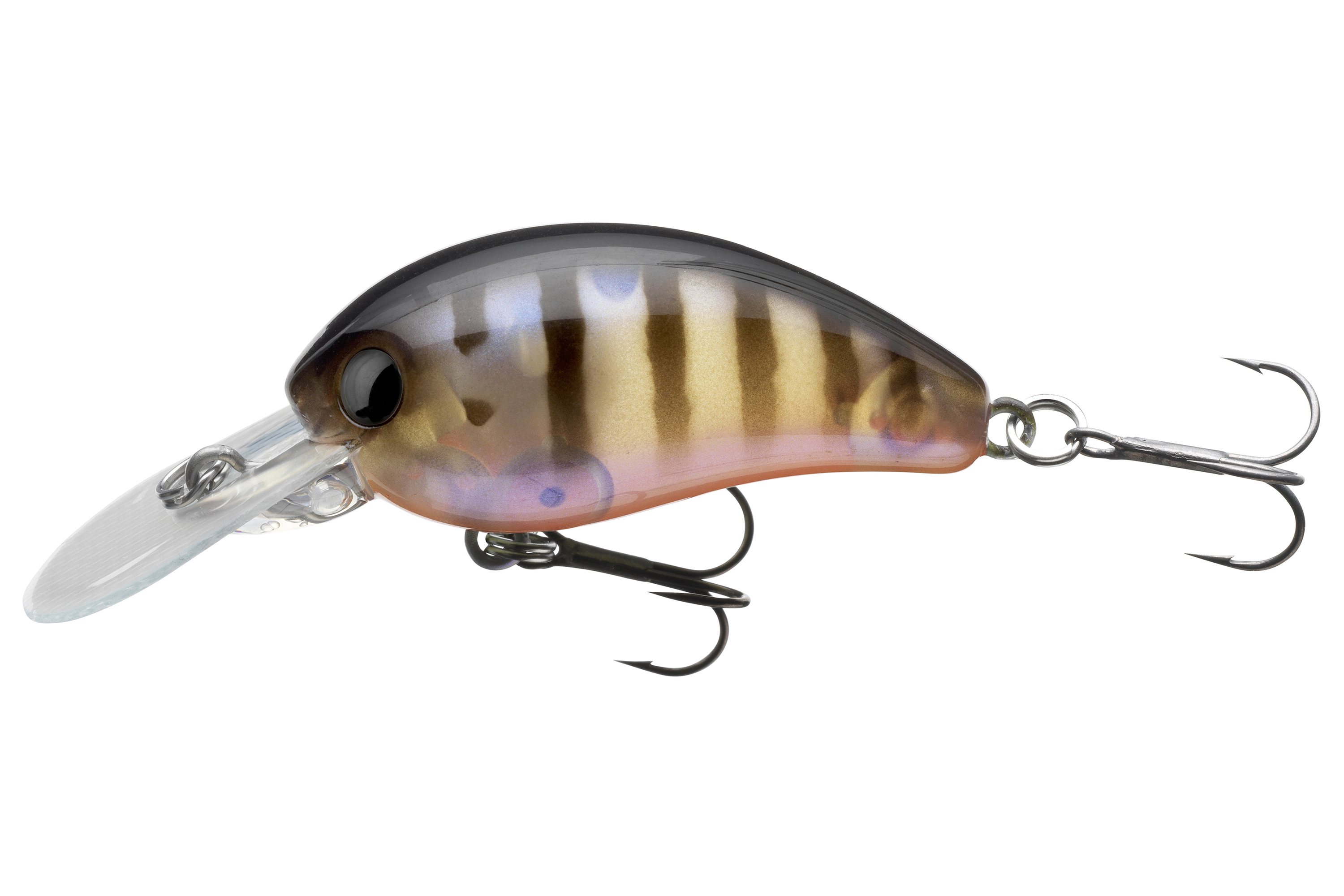 Daiwa Baby Crank 35F 35mm/3.3g Floating PG Perch Daiwa Baby Crank 35F 35mm/3.3g Floating PG Perch