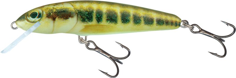 Salmo Minnow Sinking 7cm/8g Minnow