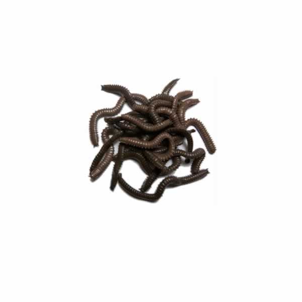 Behr Trendex Tehissööt Jumbo Uss Pruun