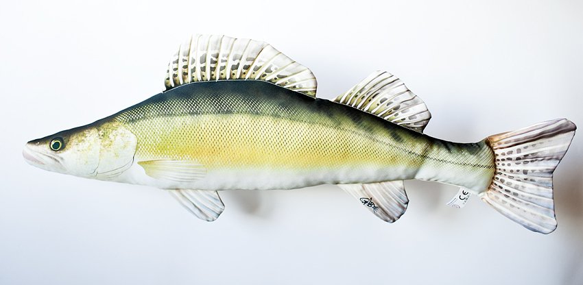 Kalapadi / Fish Pillow (GABY) Koha/Zander 70cm