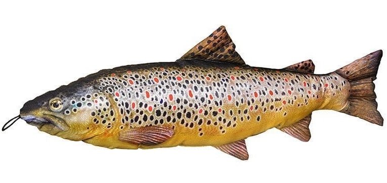 Fladen Jõeforell/Brown Trout pehme 65cm