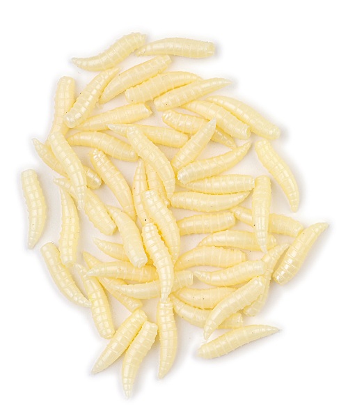 Behr tehissööt tõuk   9062001