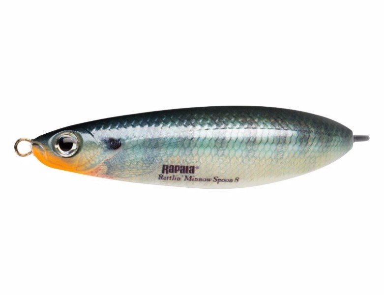 Rapala Rattlin Minnow Spoon 8cm/16g BG