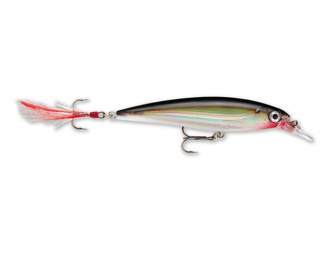 Rapala X-Rap  Silver 10cm/13g XR10 S