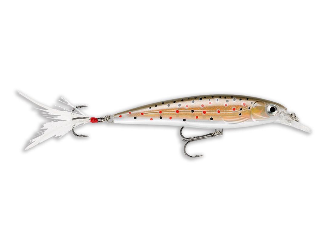 Rapala X-Rap Brown Trout 10cm/13g XR10 TR