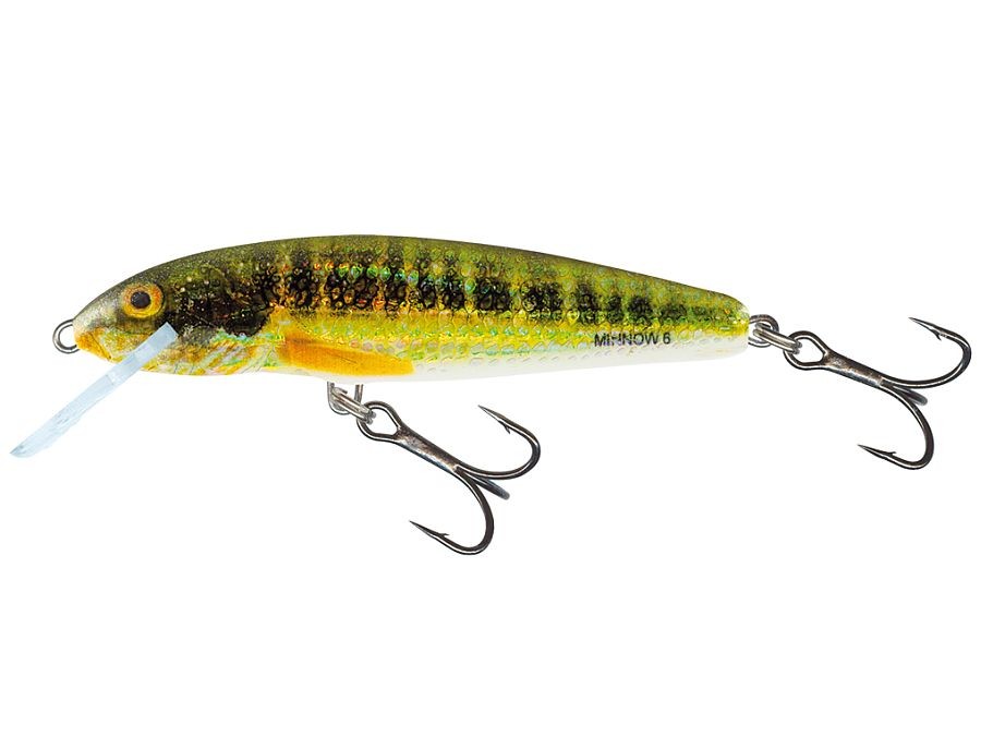 Salmo Minnow Sinking 5cm/5g Holographic Real Minnow